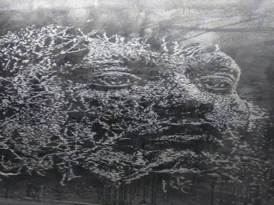 46_Visage_par_Vhils.jpg