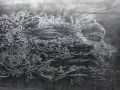 46_Visage_par_Vhils.jpg