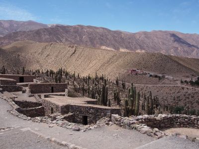 PA221584.jpg