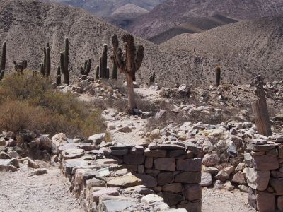 PA221586.jpg