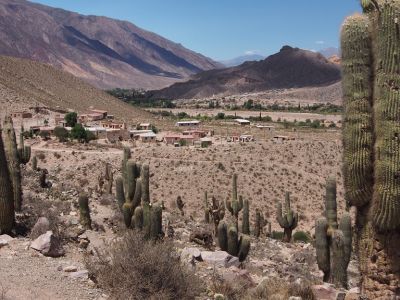 PA221591.jpg