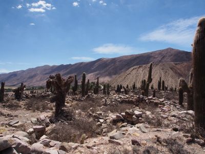 PA221595.jpg