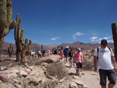 PA221599.jpg