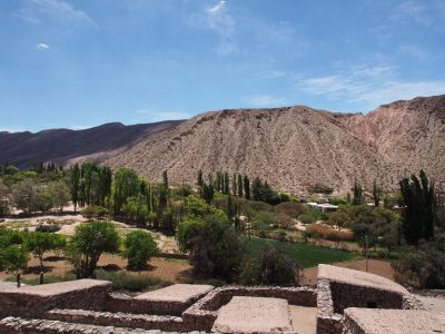 PA221612.jpg