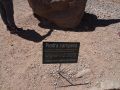 PA221562.jpg