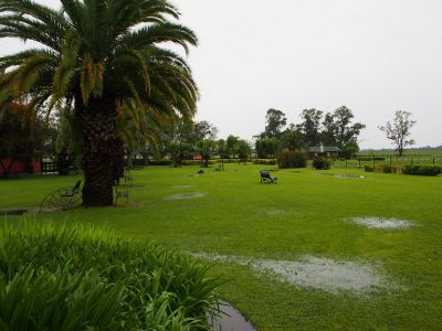 PA150154.jpg