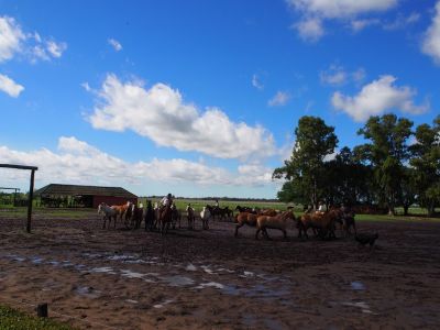 PA150212.jpg