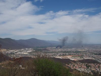 PA160349.jpg