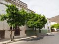 PA160361.jpg