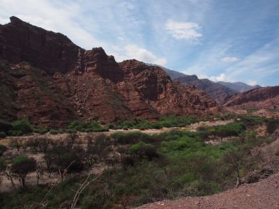 PA170472.jpg