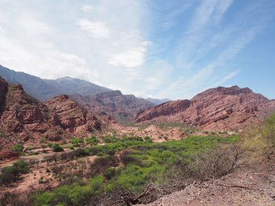 PA170485.jpg