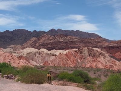 PA170568.jpg