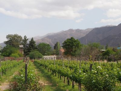 PA170599.jpg