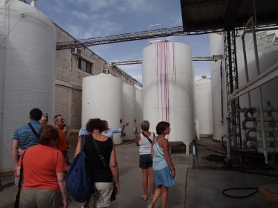 PA170603.jpg