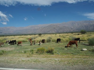PA180712.jpg