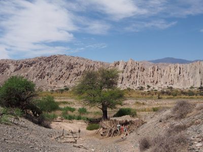 PA180729.jpg