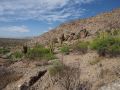 PA180681.jpg