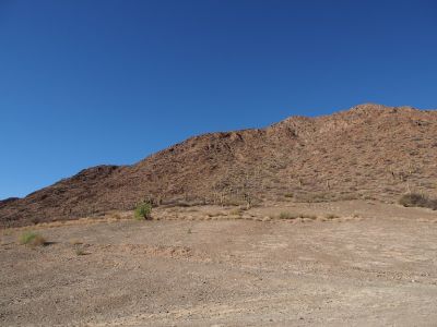 PA190857.jpg