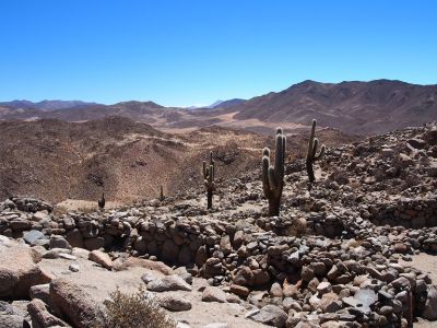 PA201089.jpg