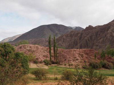 PA211277.jpg