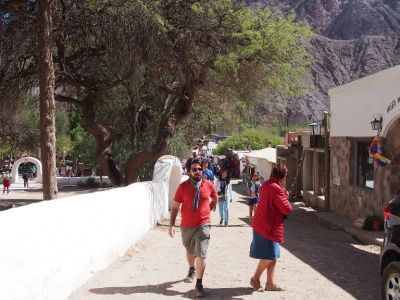 PA211384.jpg