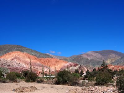 PA211387.jpg