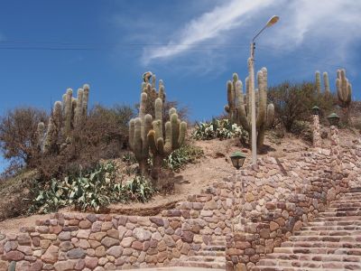 PA211411.jpg