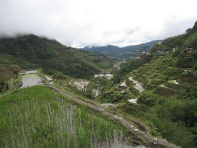 IMG_0057.jpg