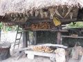 IMG_0066.jpg